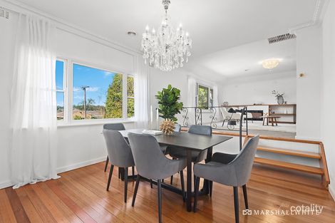 Property photo of 7 Alpha Street Balwyn North VIC 3104