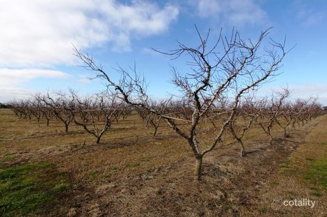 422 Cobram South Rd, Cobram, VIC 3644