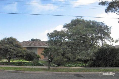 24 Griffiths St, Henley Beach, SA 5022