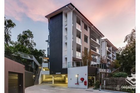 Property photo of 14 Montrose Road Taringa QLD 4068