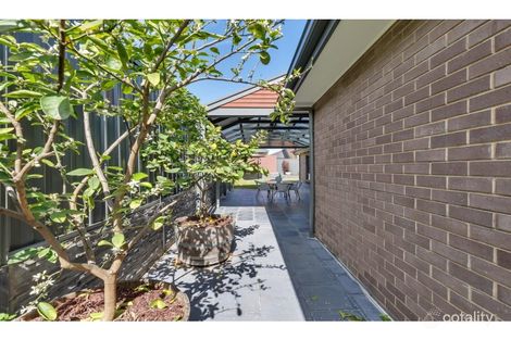 Property photo of 57 Chardonnay Boulevard Reynella SA 5161