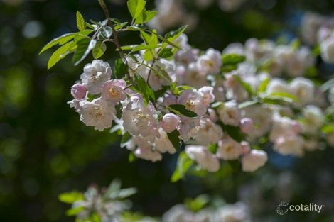 Property photo of 49 Holly Road Burradoo NSW 2576