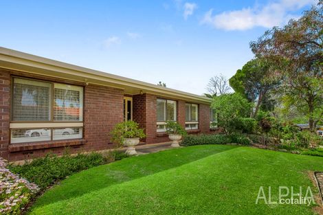 7 Lobelia Rd, Modbury North, SA 5092