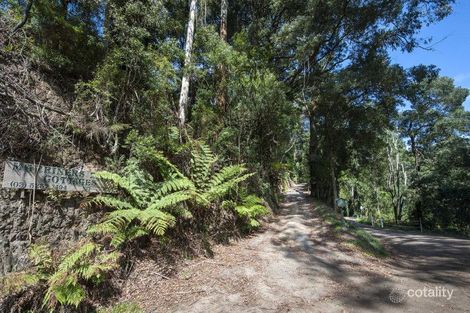 1088 Barham River Rd, Apollo Bay, VIC 3233