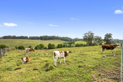 184 Wirrimbi Rd, Newee Creek, NSW 2447