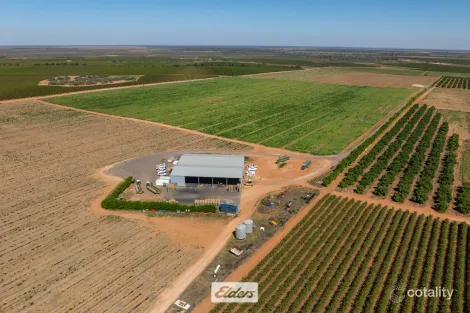 218 High Darling Rd, Wentworth, NSW 2648