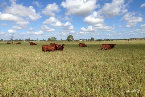 159 Wedel Rd, Alton Downs, QLD 4702