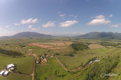 Property photo of 39 Jack Drive Feluga QLD 4854