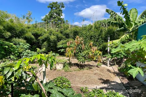 Property photo of 3 Barka Close Wonga Beach QLD 4873