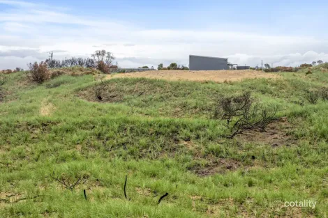 Property photo of 638 Dolphin Sands Road Dolphin Sands TAS 7190