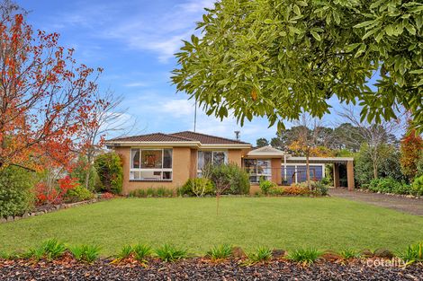 Property photo of 349 Gray Street Hamilton VIC 3300