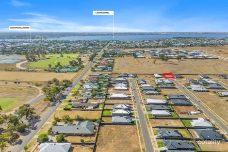 41 Vineyard Cct, Yarrawonga, VIC 3730