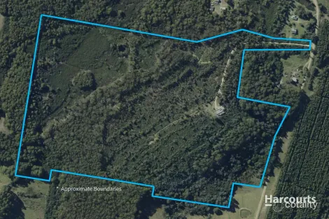 24 Radnor Rd, Port Arthur, TAS 7182