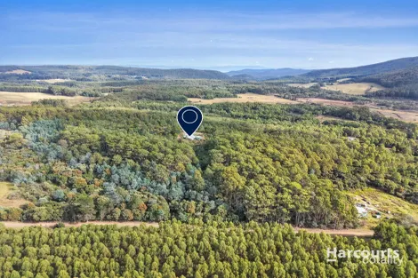 Property photo of 24 Radnor Road Port Arthur TAS 7182
