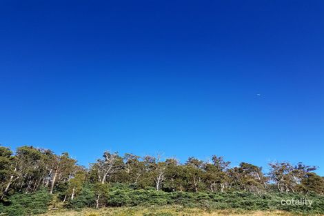 Property photo of 290 Horners Road Elderslie TAS 7030