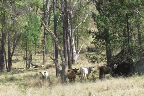 1697 Bingara Rd, Bundarra, NSW 2359