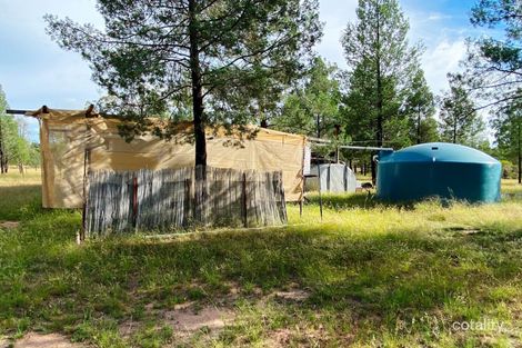 Property photo of 175 Bisley Road Tara QLD 4421