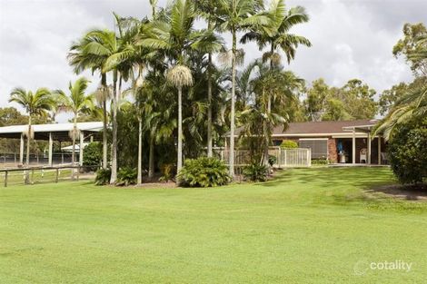 Property photo of 747 New Cleveland Road Gumdale QLD 4154