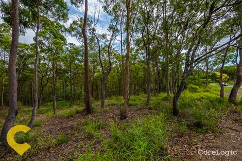 Property photo of 15 Eveleigh Street Arana Hills QLD 4054