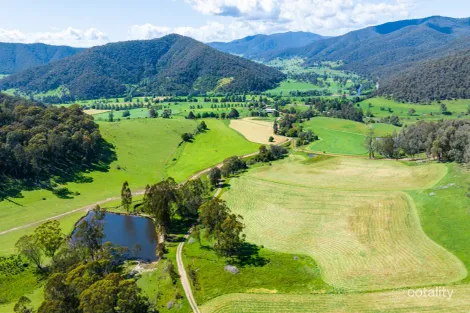 Property photo of 3082 Omeo Highway Tallandoon VIC 3701