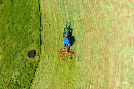 Property photo of 3082 Omeo Highway Tallandoon VIC 3701