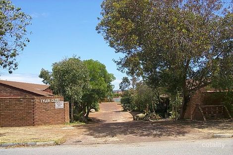 169 Tyler St, Tuart Hill, WA 6060