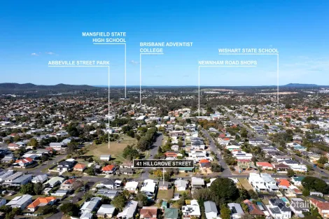 Property photo of 41 Hillgrove Street Upper Mount Gravatt QLD 4122