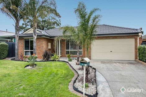 12 Souhail Ct, Berwick, VIC 3806
