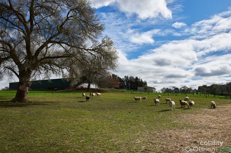 Property photo of 771 Bloomfield Road Nilma North VIC 3821