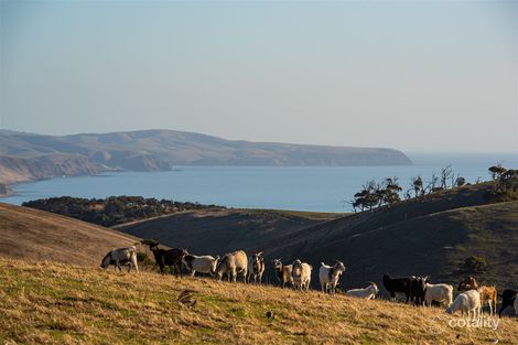 Property photo of LOT 2 Forktree Road Carrickalinga SA 5204