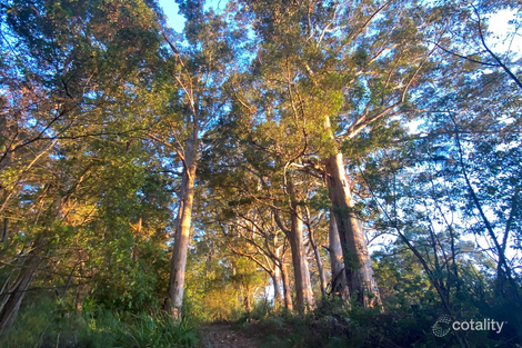 130 Peace St, Shadforth, WA 6333