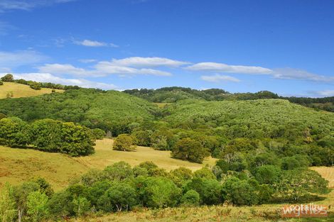 Property photo of 637 Black Mountain Road Black Mountain QLD 4563