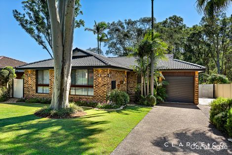 Property photo of 82 John Arthur Avenue Thornton NSW 2322