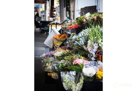 Property photo of 20 Hampton Road Essendon West VIC 3040