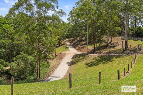 Property photo of 86 Tyalgum Ridge Road Tyalgum NSW 2484