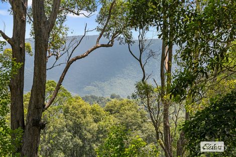 Property photo of 86 Tyalgum Ridge Road Tyalgum NSW 2484