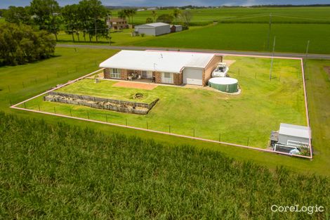 Property photo of 104 New Norwell Road Woongoolba QLD 4207