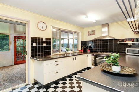 Property photo of 23 Conifer Street Hillcrest QLD 4118