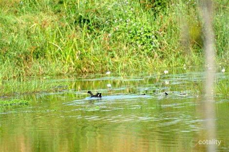 Property photo of 7 Hamilton Close Mooloolah Valley QLD 4553