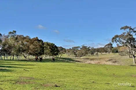 77 Newton Rd, Young, NSW 2594