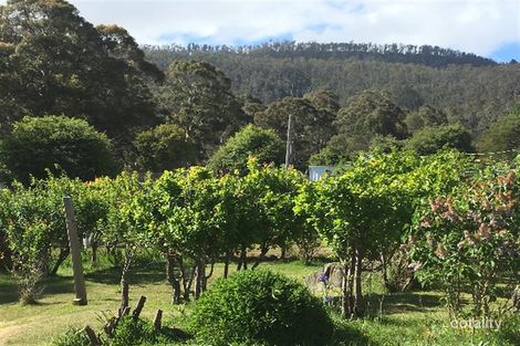 Property photo of 25-27 Alexander Street Cornwall TAS 7215