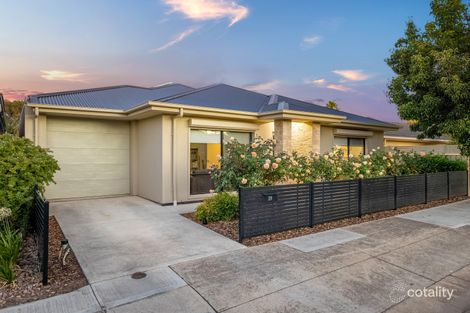Property photo of 19 Bristol Avenue Camden Park SA 5038