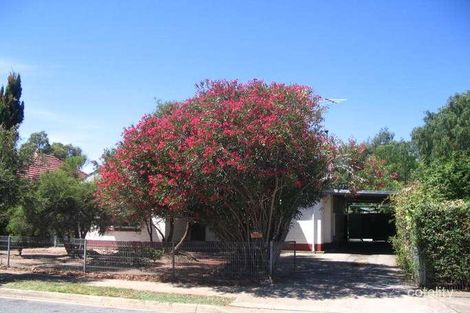 Property photo of 59 Golding Street Beverley SA 5009