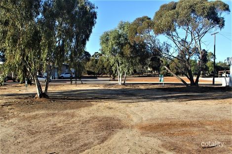 20 Elphin Cres, Wongan Hills, WA 6603