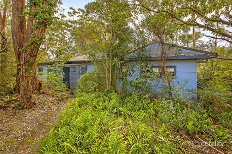 Property photo of 34 Endeavour Drive Avoca Beach NSW 2251