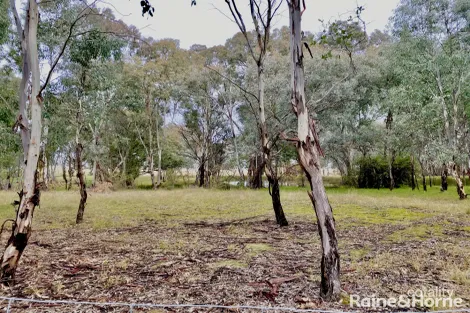 Property photo of 4735 Olympic Highway Young NSW 2594