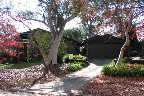 Property photo of 24 Willow Tree Crescent Belrose NSW 2085