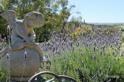 8 Bevan Rd, Hope Forest, SA 5172