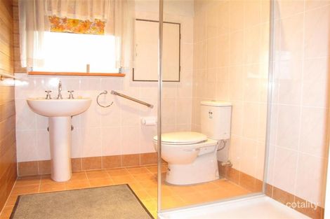 Property photo of 53 Esme Avenue Chester Hill NSW 2162