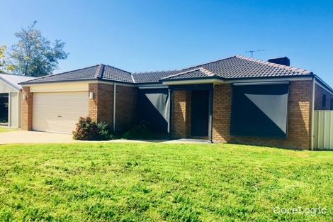Property photo of 6 Lions Place Culcairn NSW 2660